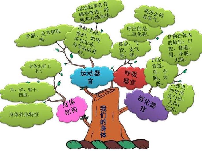 知识具有什么样的特征 - 科学具有什么样的本质特征