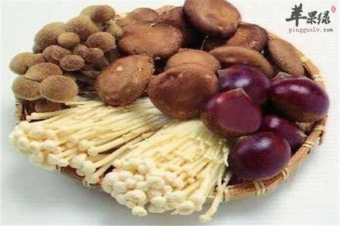 日常养生知识大全食物 养生食材有哪些