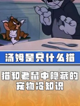 那些你不知道的冷知识、搞笑冷知识大全爆笑