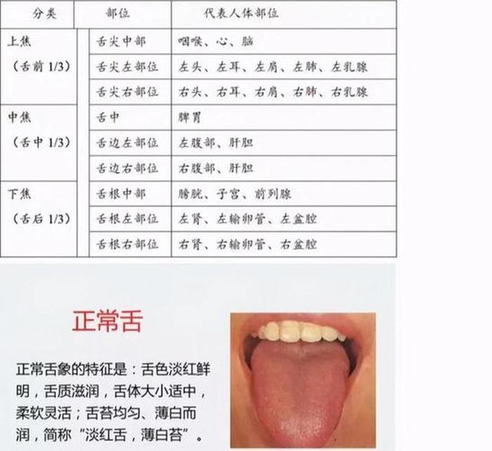 舌头的健康知识科普、舌头的健康状况 图