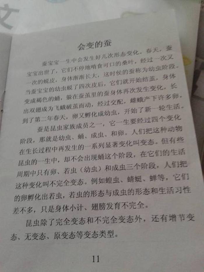 科学小知识简短摘抄20字，科学小知识50字