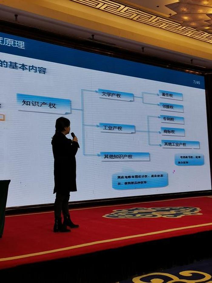 知识产权案例视频；知识产权国际案例经典2023年