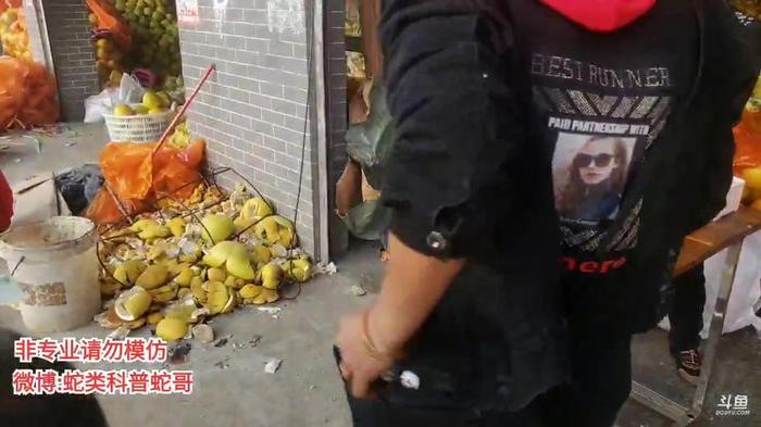 科普生活知识直播；斗鱼直播蛇类科普蛇哥
