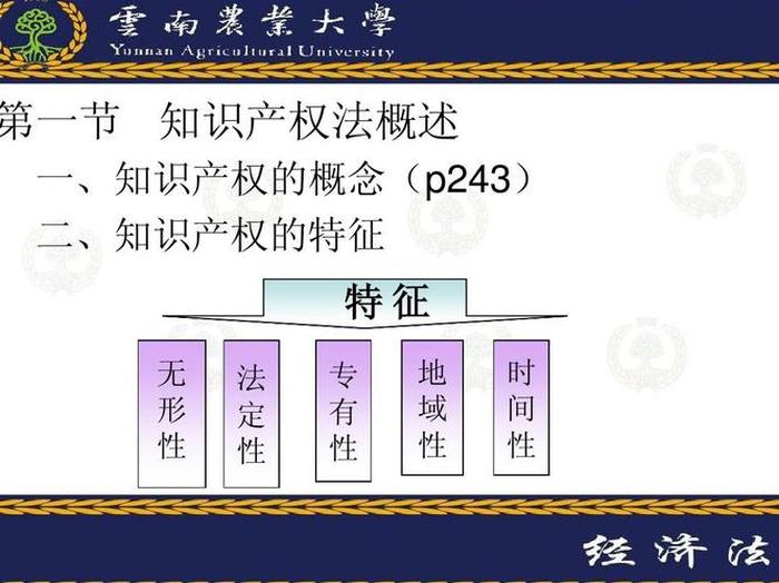 知识产权的概念和种类 - 概念的分类有哪些