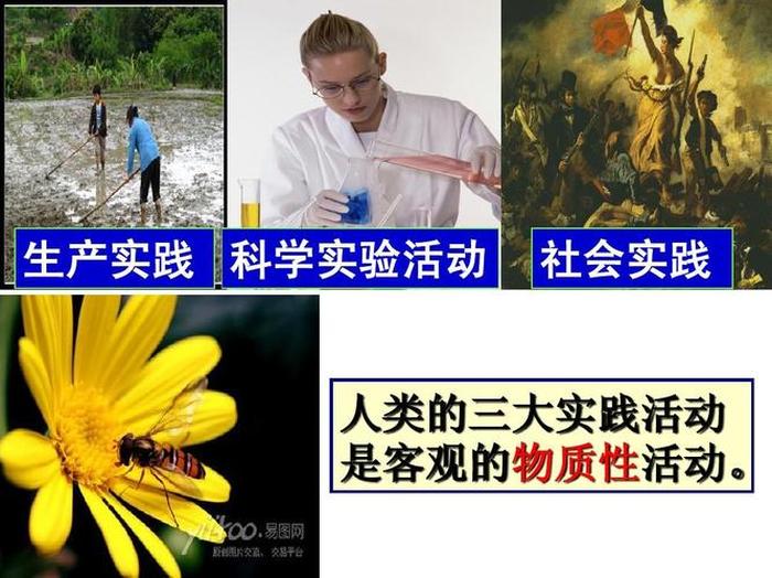 知识的本质的含义 - 社会生活本质上是实践的含义