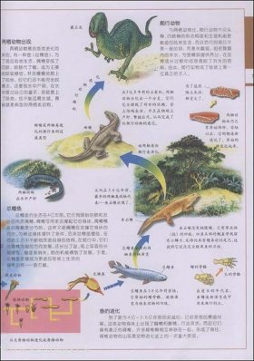 趣味百科知识大全图片，百科知识图片