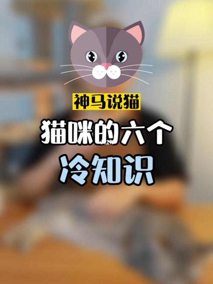 猫冷知识百科大全；关于猫咪的常识40条