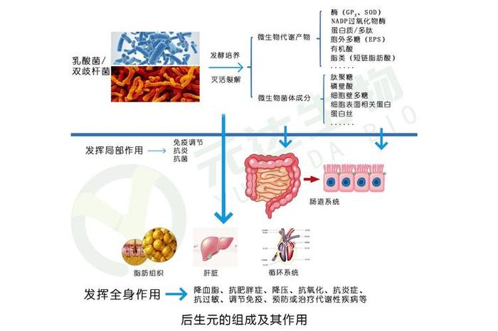 冷门小知识科普、有趣的生物科普小知识