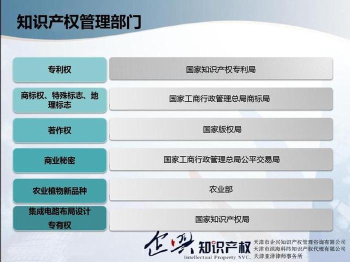 关于知识产权的句子；关于知识产权的标题