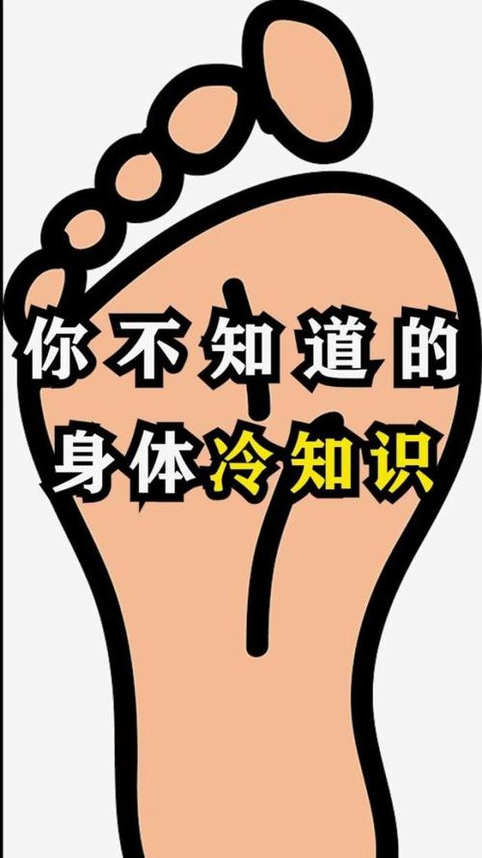 有用的冷知识素材大全、你绝对不知道的冷知识