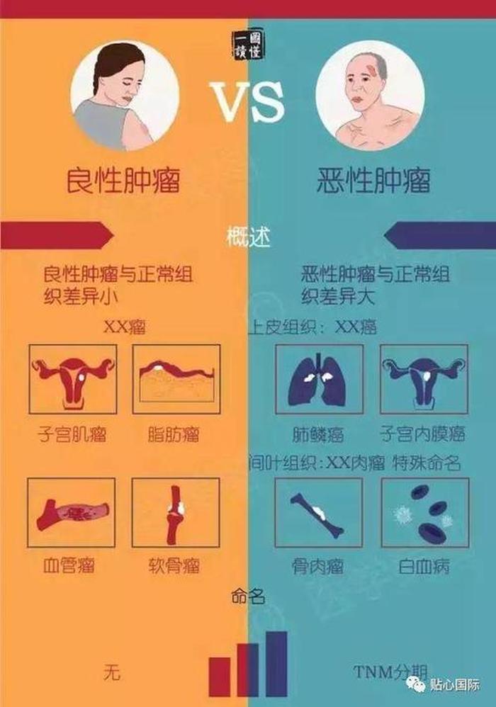 医学常识大全癌症 - 肿瘤相关知识