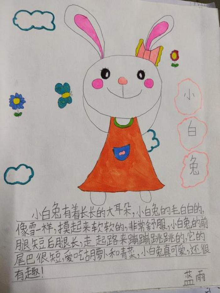 动物百科知识、二年级上册有趣的动物
