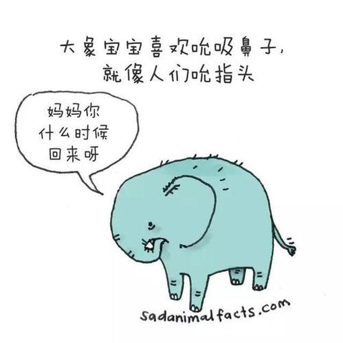 世界冷知识恐怖故事；15个奇怪的冷知识
