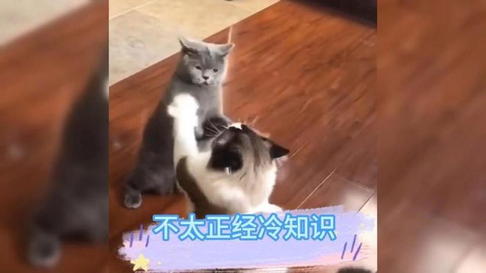 羞羞脸冷知识挑战 冷知识大全