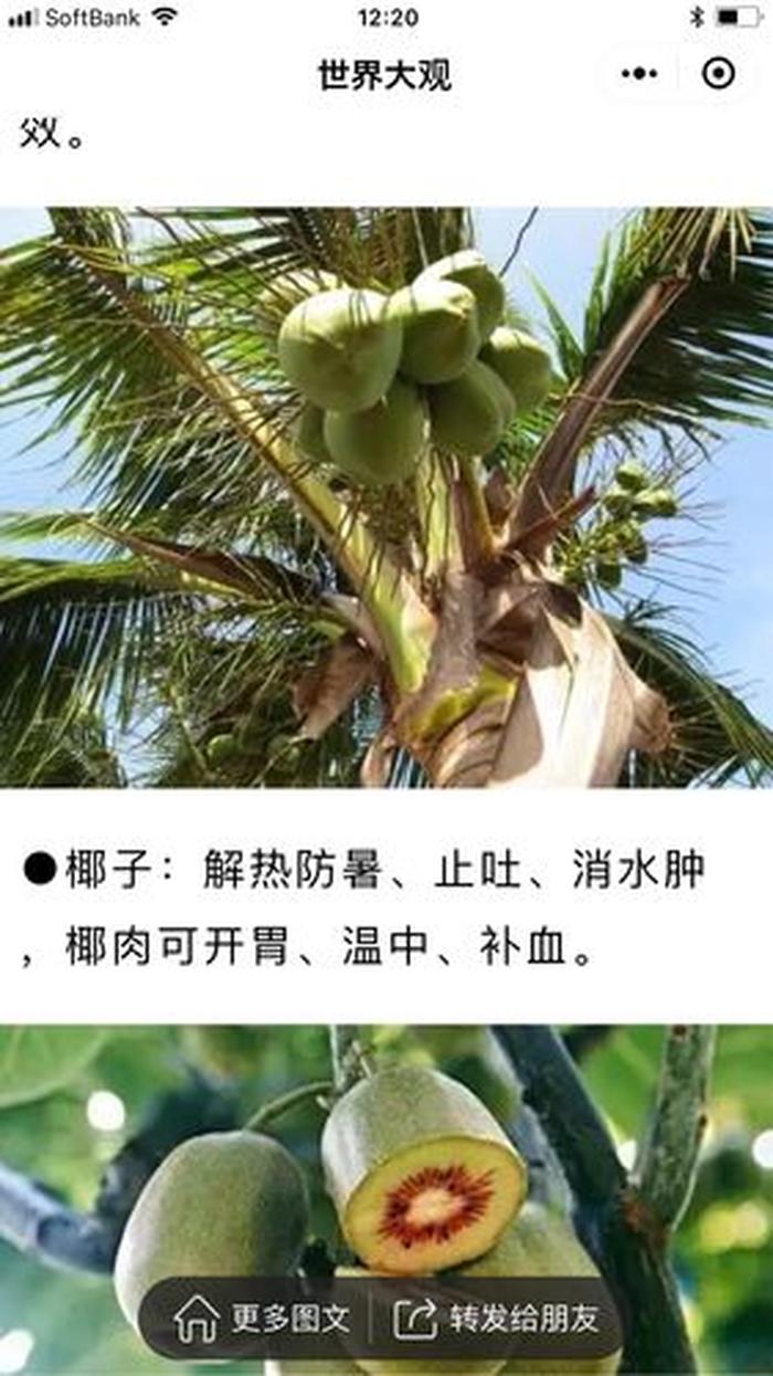 世界百科知识大全讲解 水果百科知识大全