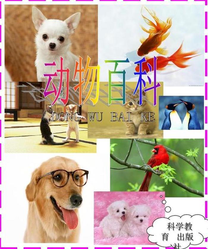 动物百科知识大全视频 - 中国常识1000题