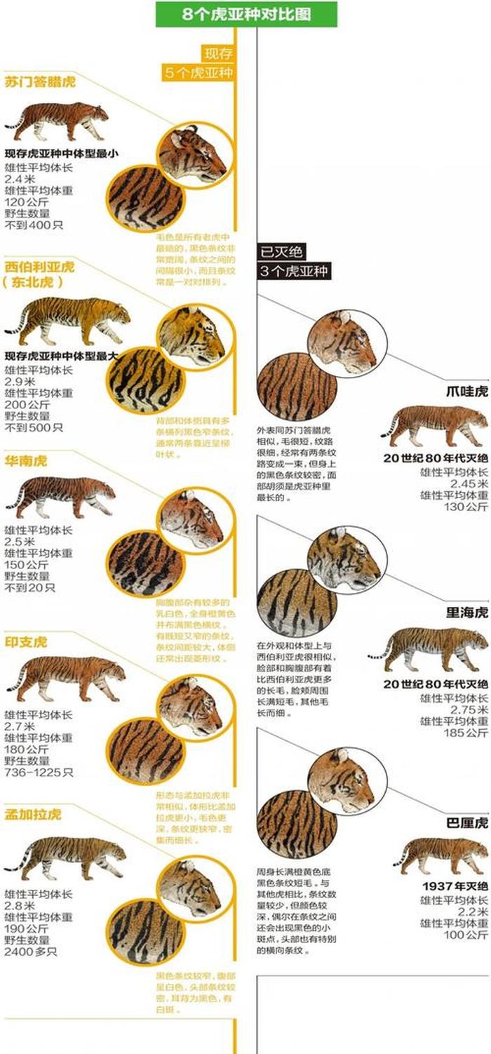 冷知识百科大全详细；10个冷知识