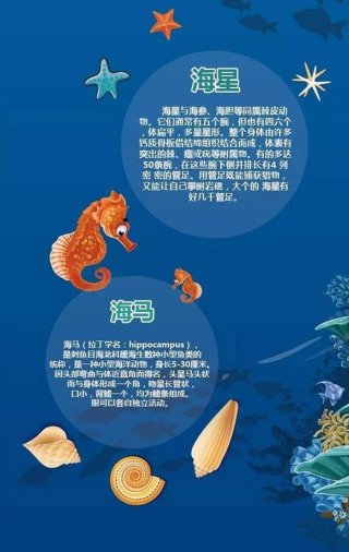 知识的海洋怎么解释 知识的海洋对应什么