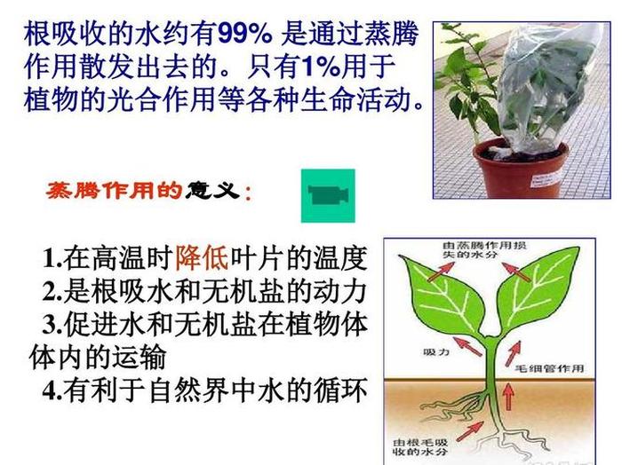 植物科普小知识视频；植物的科学视频