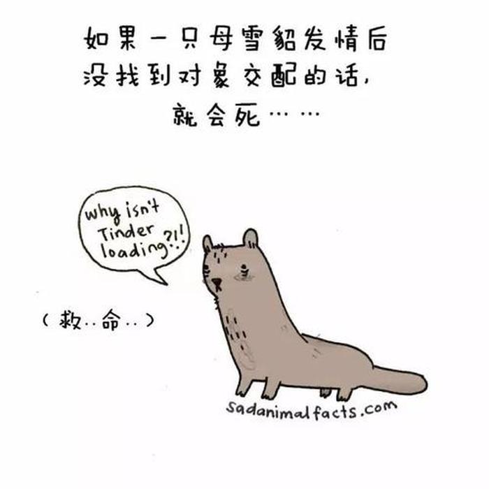 10万个冷知识小视频，冷知识小故事