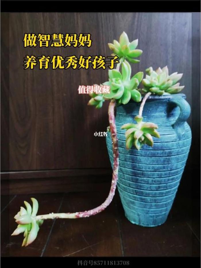 0-3岁育儿知识大全电子版；0∼3岁育儿知识简短