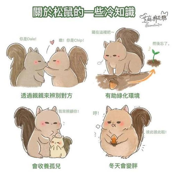 幽默的冷知识小故事 - 冷知识搞笑