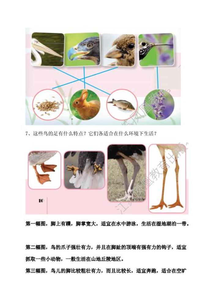 动物科普小知识儿童；有关动物的科普小知识