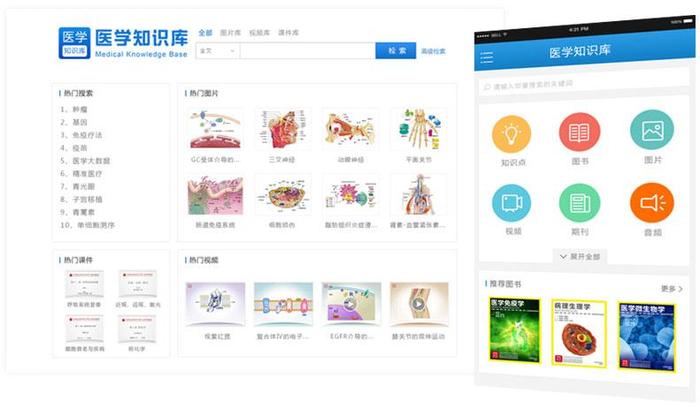知识库大全，知识库app