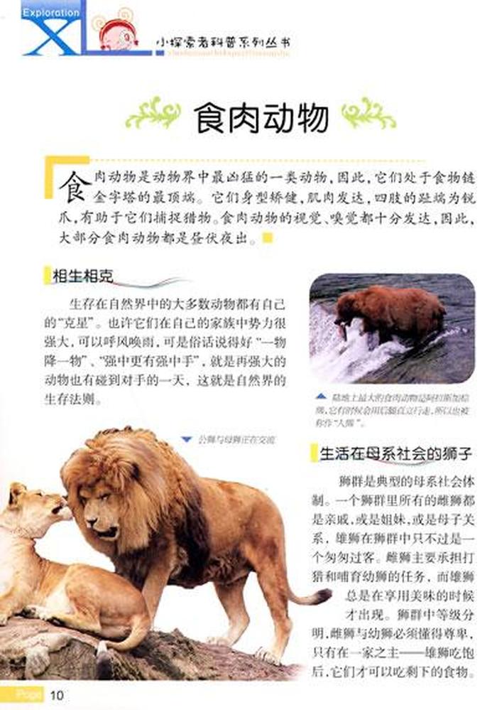 动物科普小知识儿童；有关动物的科普小知识