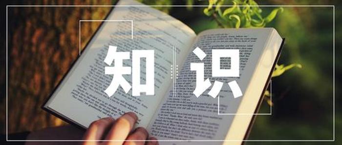 知识不付费的好处 知识带给我们什么好处