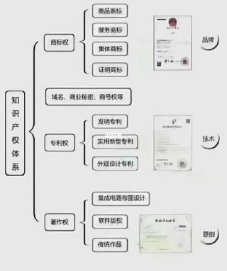 知识包括知识产权，知识产权管理
