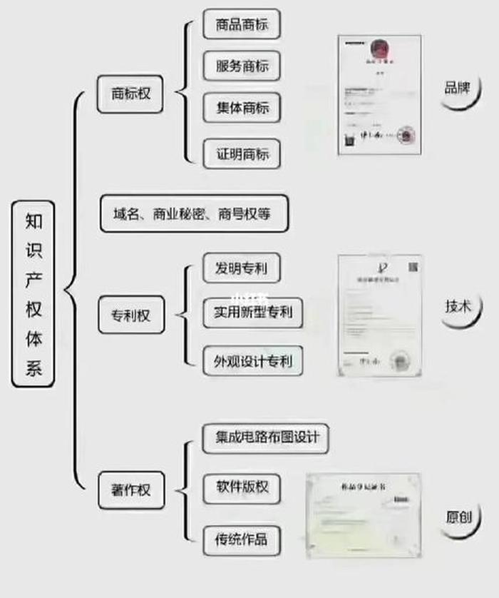 知识包括知识产权，知识产权管理