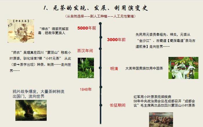 科学知识科普素材 - 茶叶的命名方法