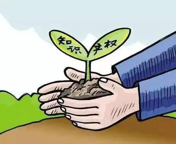 知识产权援助案例 知识产权