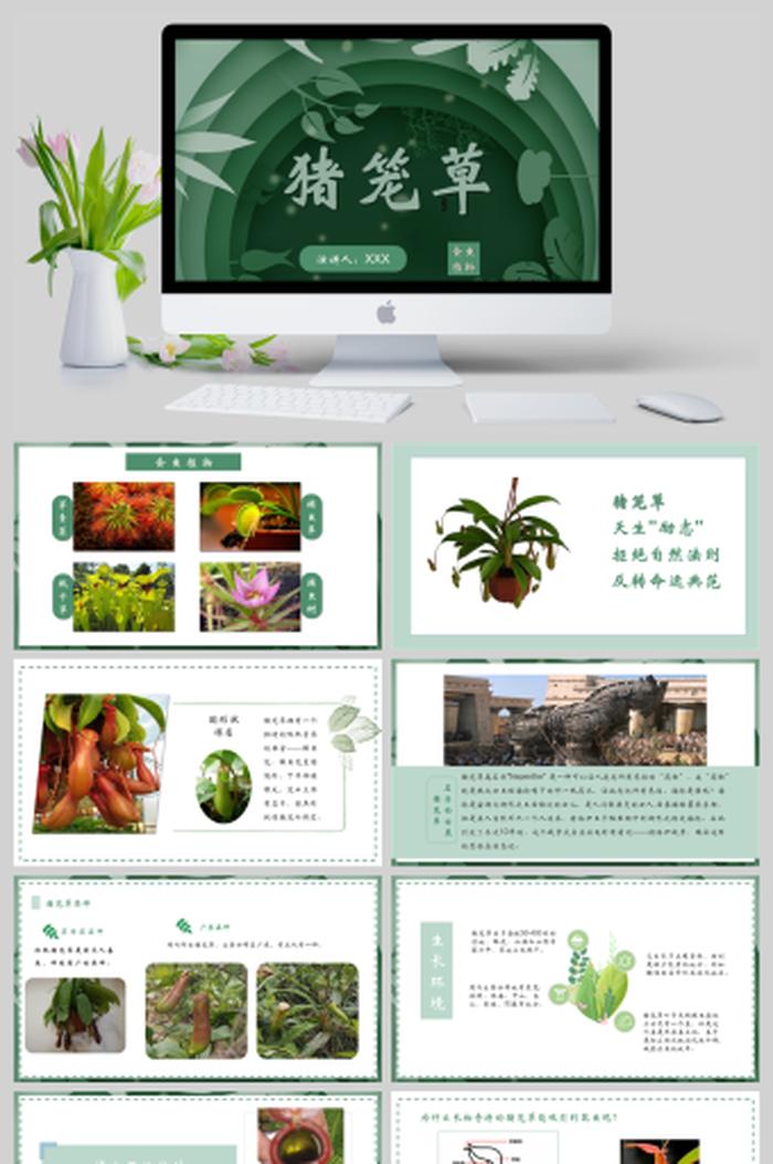 科普知识内容大全 - 植物科普知识资料大全