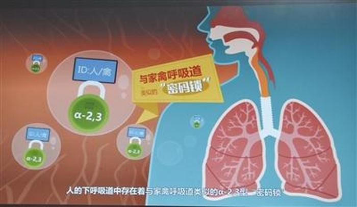 健康科普动画短片视频；怎么做动画短片