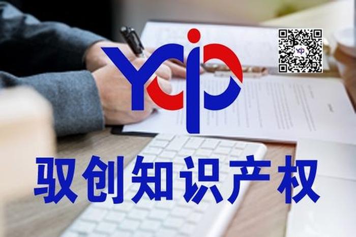 知识产权专业出来干啥的；知识产权公司排名