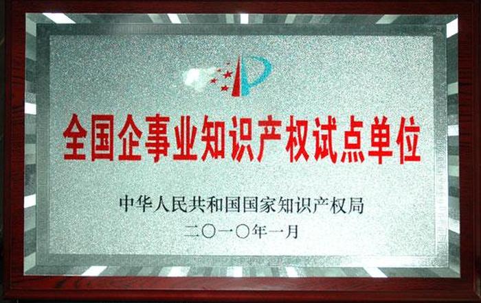 全国排名前十的知识产权公司，全国十大知识产权代理公司