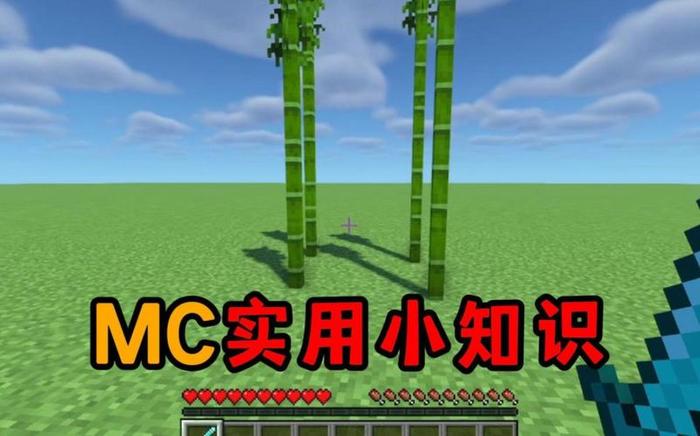 我的世界实用小知识、我的世界新手必备知识