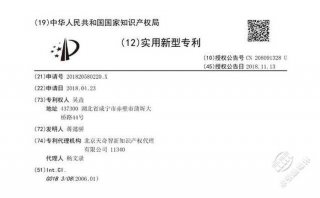 国家知识产权专利查询官网入口；怎样查产品专利号