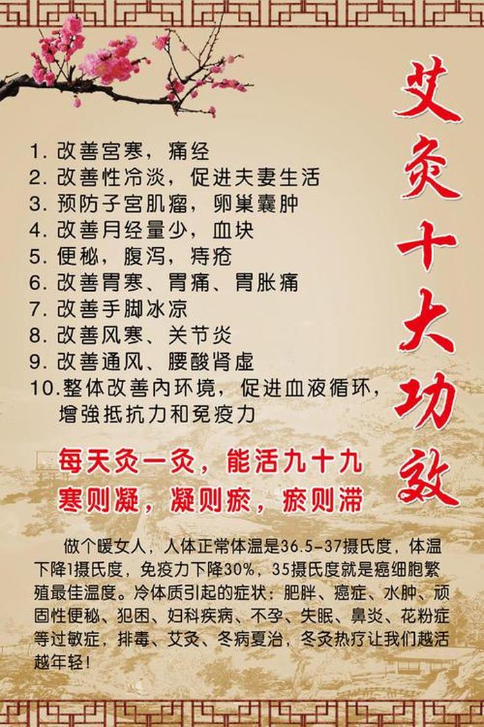 艾灸养生知识大全100篇 - 艾灸养生图片高清大图