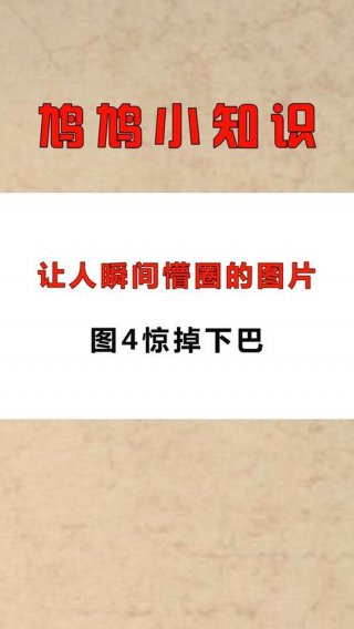 十万个冷知识素材库，让人难以相信的冷知识