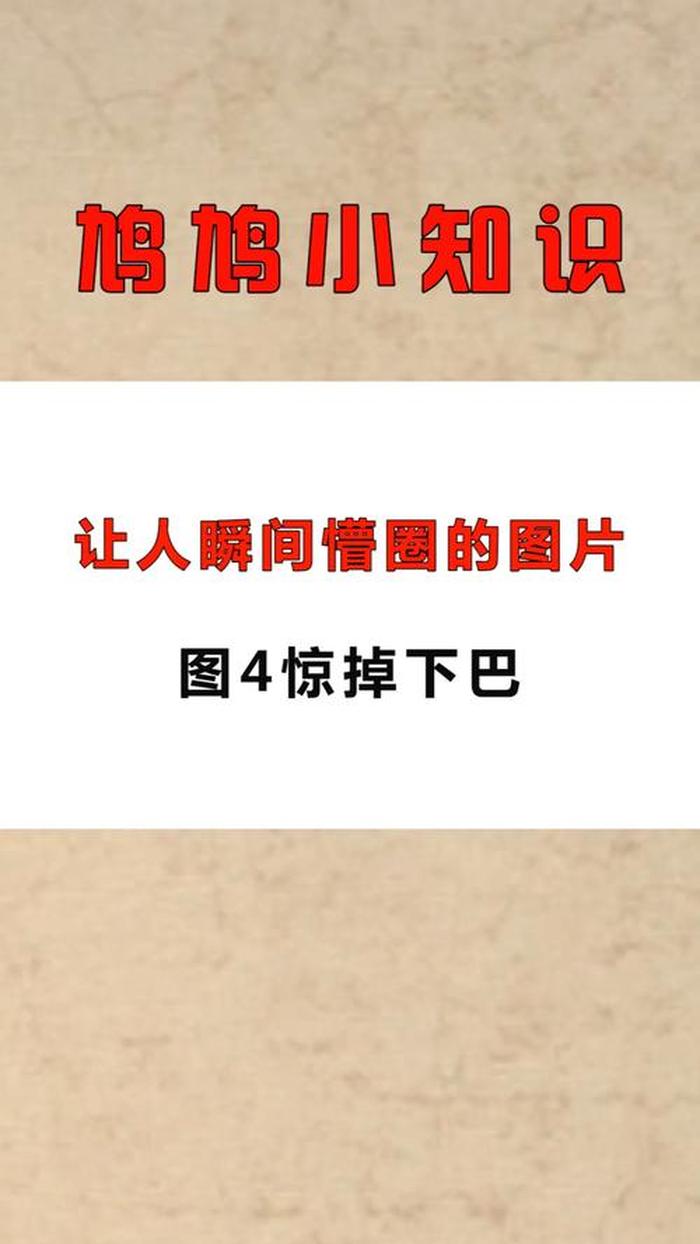 十万个冷知识素材库，让人难以相信的冷知识