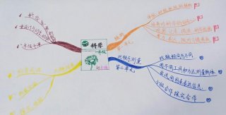 科学思维导图课外 - 科学思维导图图片