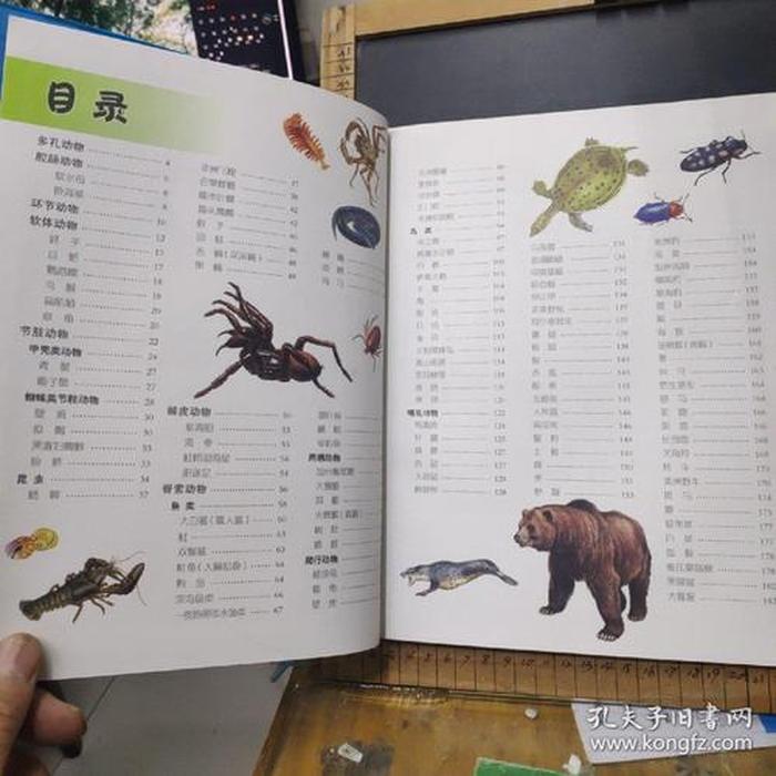 世界百科小知识，简单的百科知识