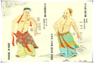 养生健康小知识经络，经络包括