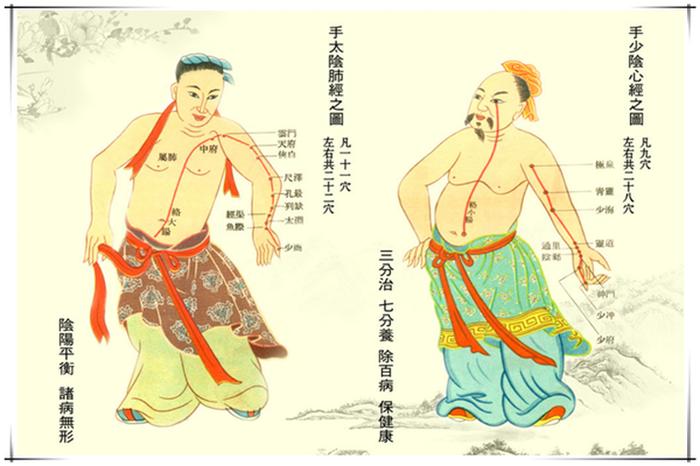 养生健康小知识经络，经络包括