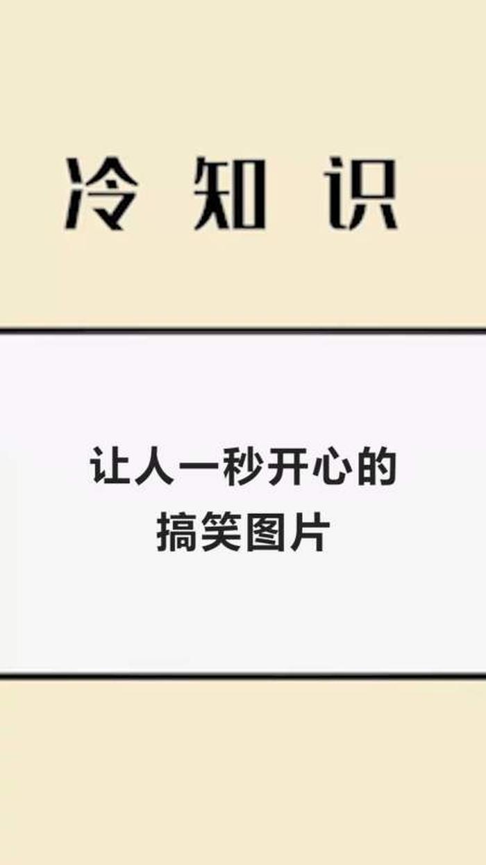 搞笑的冷知识网易视频；10万个冷知识小视频