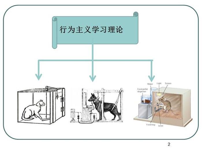认知篇你认为知识是什么 认知行为模式