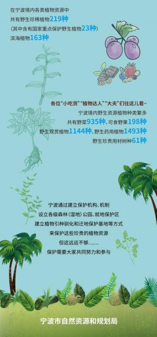 科学知识科普植物 - 了解植物的有关知识